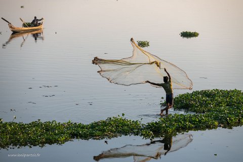 20191119__00038-12 Pêcheur à l'épervier au milieu des jacinthes d'eau au petit matin sur le lac Taung Tha man près du Pont u bein,